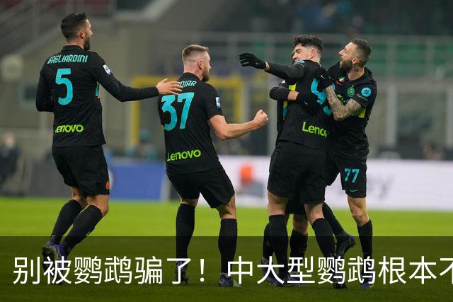 别被鹦鹉骗了！中大型鹦鹉根本不是宠物，是会飞的野生猛禽！